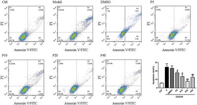 Corrigendum: Propofol Alleviates DNA Damage Induced by Oxygen Glucose Deprivation and Reperfusion via FoxO1 Nuclear Translocation in H9c2 Cells